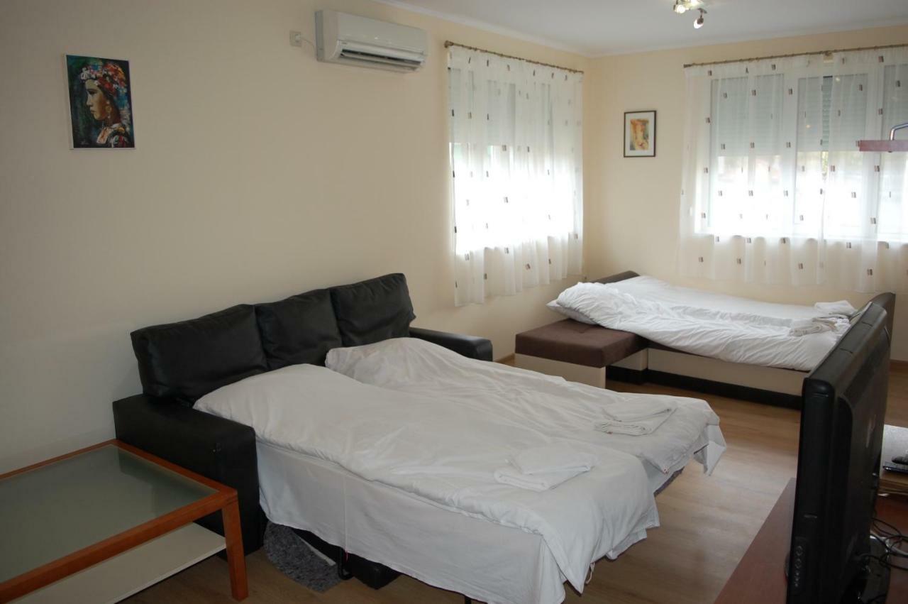 Hotel Vitosha 特里亚夫纳 外观 照片